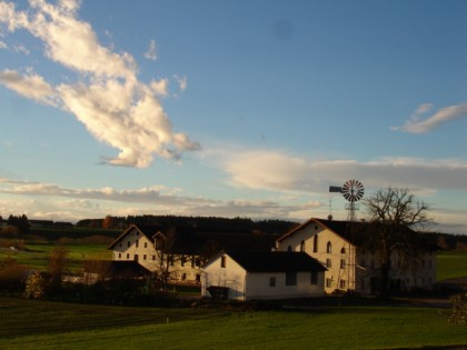 Фото:  Maier